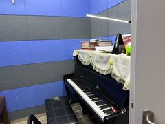 -缪斯琴行英皇小提琴.钢琴.吉他(张江店)