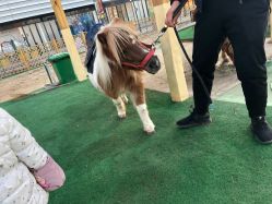 -萌宠亲子动物乐园(槐房万达店)