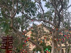 -三亚亚龙湾天域度假酒店