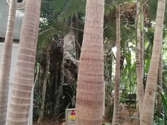 -龙达温泉生态城