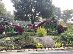 -合肥滨湖国家森林公园