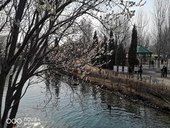 -长白岛森林公园