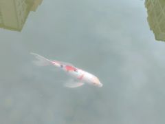 -梧桐人家中国太平国际健康颐养社区