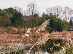 -西湖风景区-江洋畈生态公园