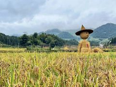 -紫鹊界梯田景区