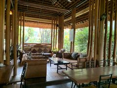 -DOI CHAANG Caffè Maesuai