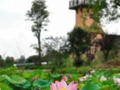 -道林古镇