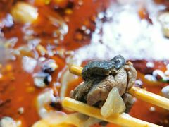 -黑竹香鸡(营和巷店)