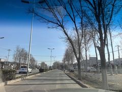-东郊湿地公园