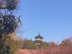 -无锡梅园公园