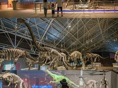 -世界恐龙谷景区