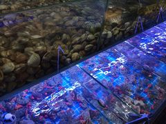 -海韵之星邮轮水会(明发商业广场店)