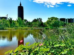 -西海子公园