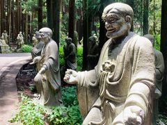 -武陵山森林公园
