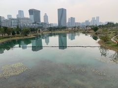 -桂溪生态公园