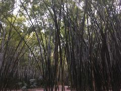 -晓港公园