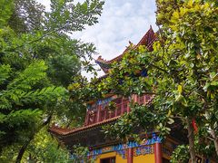 -宝通禅寺