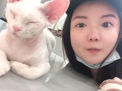 -糯米喵星人·撸猫猫舍咖啡馆(西市场嘉华店)