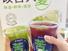 -炖物24章·顺时轻养茶(黄龙店)