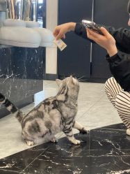 -TOP HAIR SALON