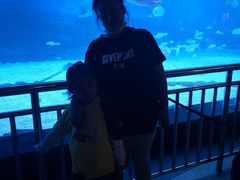 -烟台海昌鲸鲨海洋公园