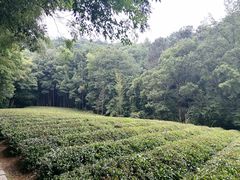 -敬亭山风景名胜区