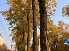 -长春市南湖公园