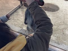 -台州海洋世界