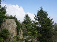 -白草畔自然风景区