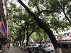 -老炳·七丛松甘草水果