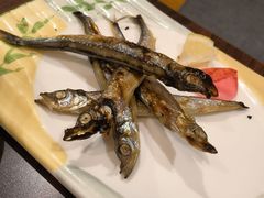 -黑松白鹿(金融街店)