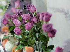 -艾拉私人定制婚礼