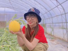 -西瓜小镇