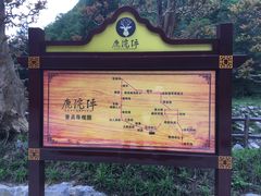 -鹿院坪生态旅游景区
