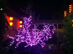 -西北印象佳宴(兴华街中段店)