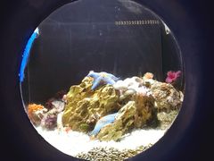 -欢乐海岸海洋奇梦馆