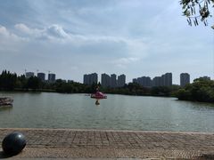-青枫公园