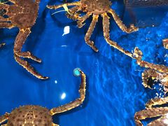 -盒马鲜生(顺义店)