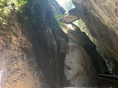 -武陵山森林公园
