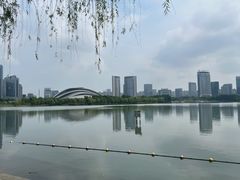 -天鹅湖体育公园