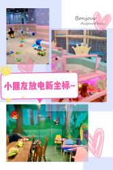 -泰迪主题家庭娱乐中心(IGC天汇广场)