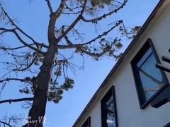 -卡梅尔海