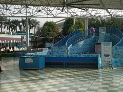 -百万葵园