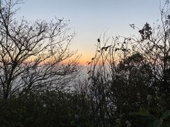 -江西阳明山国家森林公园