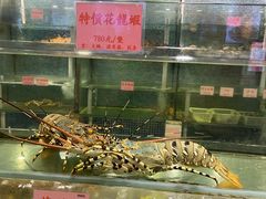 -东国海鲜火锅城(氹仔店)