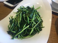 -菩提树·素食餐厅(汇智国际商业中心店)