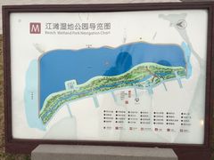 -江滩湿地公园
