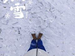 -颐和园