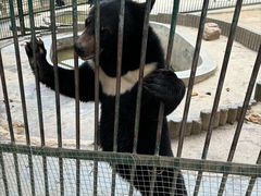 -栾川竹海野生动物园