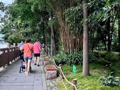 -成都市活水公园